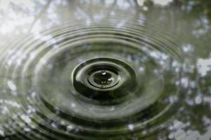 le mouvement de la surface des gouttelettes d'eau avec l'ombre de l'arbre, la surface des gouttelettes d'eau photo