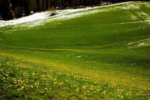 beau paysage de montagne dans les alpes photo