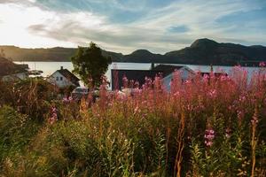 scènes de montagne colorées en norvège. beau paysage de norvège, scandinavie. paysage de montagne norvège. nature en été. photo