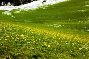 beau paysage de montagne dans les alpes photo