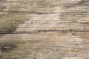 motif de fond sur un plancher en bois photo