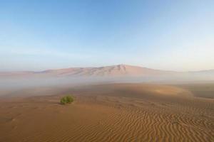 lever du soleil dans le désert d'Arabie photo