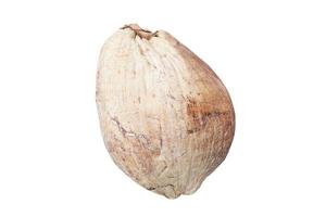 noix de coco séchée sur fond blanc photo