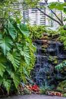 chute d'eau avec plante à feuilles vertes dans un environnement de conception de paysage de décoration tropicale.