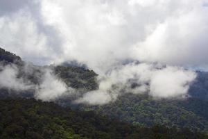 belle vue de dessus de la forêt verte et de la montagne brumeuse. photo