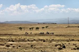 une vue sur la campagne kenyane sur le chemin de kimilili photo