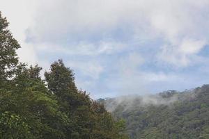 belle vue de dessus de la forêt verte et de la montagne brumeuse. photo