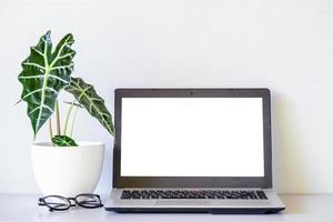 lunettes près d'un ordinateur portable maquette et taureau alocasia sanderiana ou plante alocasia sur la table et fond de mur blanc photo