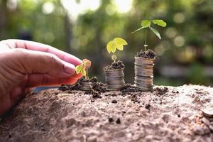 lampes à économie d'énergie, plantation d'arbres avec des idées d'affaires de financement et d'investissement de pièces de monnaie. photo