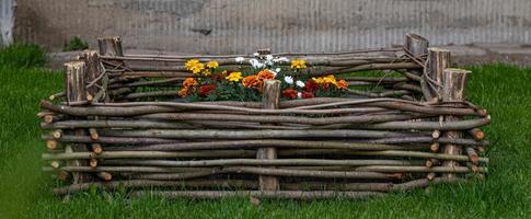 mini jardin fleuri en milieu urbain photo