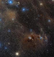 be142 nébuleuse sombre dans la constellation du caméléon, imagée à travers les télescopes robotiques à distance du télescope live photo