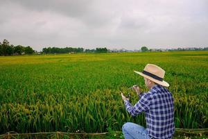 agriculture intelligente. agriculteur de technologie agricole utilisant des données d'analyse d'un smartphone ou d'une tablette et une icône visuelle. photo