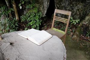 vieille chaise en bois marron, table en pierre et cahier dans un arbre forestier. mise au point sélective. photo