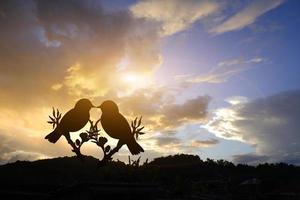 silhouette d'un couple d'oiseaux d'amour avec un coucher de soleil orange calme. en forme de coeur sur fond pastel et saint valentin. photo