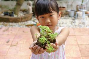 l'arbre pour la plantation préparée entre les mains de la fille. photo