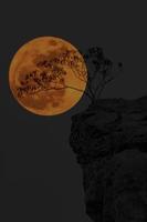 super lune à stonehenge en thaïlande photo