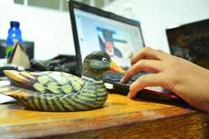 canards sur la table de travail photo