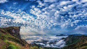 mer de brouillard à phu chi fa. photo