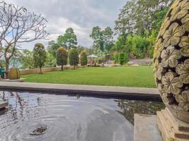 jardin avec étang à poissons et herbe verte fraîche photo