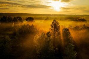 aube brumeuse orange mystique. les rayons du soleil du matin traversent les silhouettes et les ombres des arbres. photo