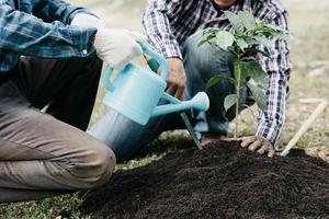 deux personnes portant des jeunes arbres à planter dans une forêt tropicale, une campagne de plantation d'arbres pour réduire le réchauffement climatique. le concept de sauver le monde et de réduire le réchauffement climatique. photo