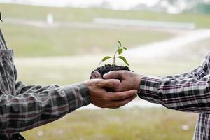 deux personnes portant des jeunes arbres à planter dans une forêt tropicale, une campagne de plantation d'arbres pour réduire le réchauffement climatique. le concept de sauver le monde et de réduire le réchauffement climatique. photo