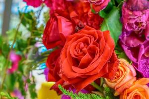 rose en plusieurs couleurs et belle dans le jardin. photo