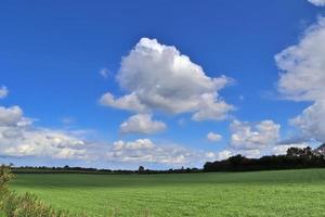 vue d'été sur les cultures agricoles et les champs de blé prêts pour la récolte photo