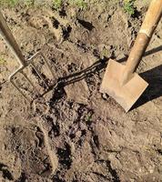 outils de jardin comme une pelle et une fourche sur un sol terreux fraîchement creusé. photo