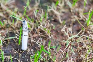 image de cigarette est dans la pelouse photo