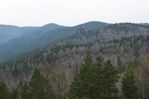 la nature de la sibérie orientale. taïga. territoire de krasnoïarsk photo