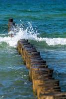 épis en bois de la mer baltique photo