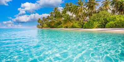 concept de nature de plage. plage de palmiers sur une île paradisiaque idyllique tropicale. paysage exotique pour les paysages d'été de rêve et d'inspiration pour l'arrière-plan ou le papier peint photo