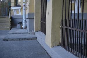 les murs des vieilles maisons classiques jaunes photo