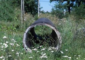 tuyau en béton sur l'herbe photo