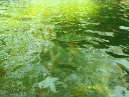 les vagues de la piscine vert émeraude. photo