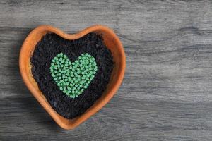 forme de coeur de jeunes plants de légumes verts cultivés à la maison semer et grandir dans un pot en terre cuite en forme de coeur sur une station de rempotage en bois dans le jardin avec espace de copie photo