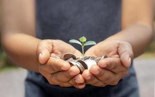 un arbre pousse à partir d'un tas de pièces dans sa main. idées d'investissement d'entreprise stratégie financière et concept de gestion de l'argent