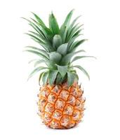 ananas sur fond blanc fruits frais photo