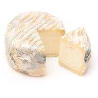 fromage de chèvre photo