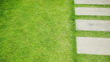 pelouse verte avec allées carrées en blocs de pierre. photo