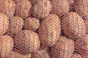 sacs de pommes de terre nouvelles fraîches dans le sac nat comme arrière-plan photo