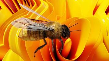 animal insecte abeille unique isolé sur une fleur orange. illustration de fond. illustration 3d photo