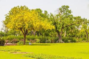 panorama du taj mahal à agra en inde avec d'étonnants jardins symétriques. photo