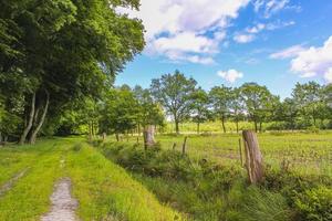 champ agricole nord-allemand forêt arbres nature paysage panorama allemagne. photo