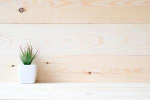 plante succulente dans un petit pot posé sur une table en bois photo