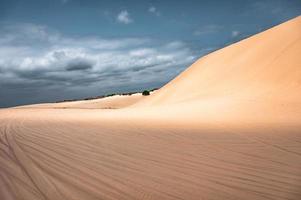 paysage de dunes de sable dans le désert de muine au vietnam photo