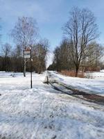printemps dans le parc pavlovsky neige blanche et arbres froids photo