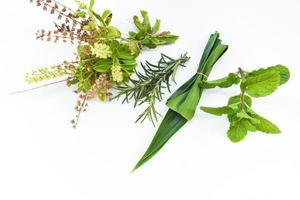 concept de jardin d'herbes de cuisine - herbes fraîches naturelles et épices sur fond blanc dans la cuisine pour la nourriture des ingrédients