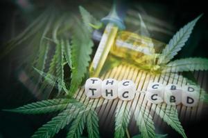 cbd huile produits de chanvre feuille de cannabis aromathérapie bouteilles d'huile à base de plantes arrière-plan - huiles essentielles de plante de marijuana naturel et bio style de vie minimaliste ingrédient naturel photo